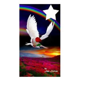 Paz não é apenas a ausência de guerra...Entenda!