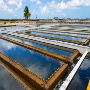 Projetos para combater às perdas de água