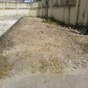 Lixo na escola foi retirado (Antes e Depois)