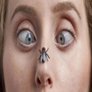 4 tipos de pessoas que os mosquitos mais picam, segundo cientistas