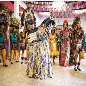 Bumba meu boi curiosidades sobre esse folclore brasileiro 