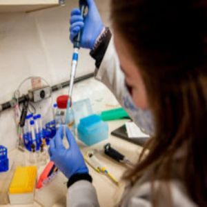 Brasil pode desenvolver vacina contra COVID-19?