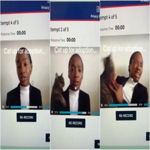 Jovem é surpreendida por gato enquanto grava vídeo para entrevista de emprego e reação viraliza