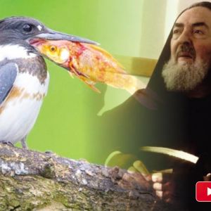 Todos os dias somos bombardeados com milhares de estímulos que, em sua maioria, são negativos.