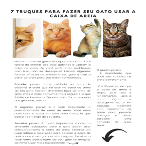 Aprenda a ensinar o seu gato a usar a caixa de areia com estes 07 truques fáceis e eficientes. 