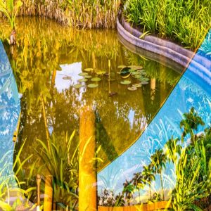 A paisagem de BURLE MARX é o tema da sala de aula virtual do Museu Regional da Pampulha