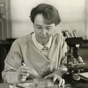 Barbara McClintock: a descoberta da transposição genética