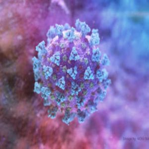 Fatos curiosos que marcaram 2020