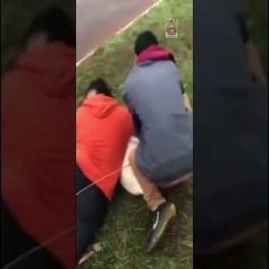 Lutador imobiliza dois pitbulls durante ataque no MS