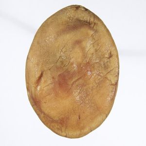 Conheça algumas cores que você nunca ouviu e nem viu antes