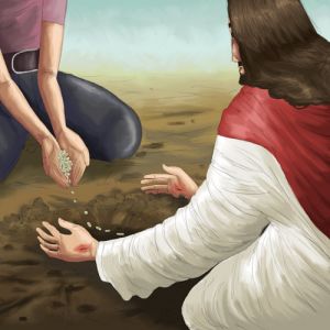 O esforço e a espera em Jesus rendem frutos maravilhosos para aqueles que confiam