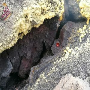 As descobertas e surpresas no final da erupções do vulcão em Las Palmas