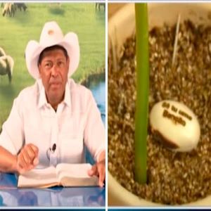 Mercadinho da benção