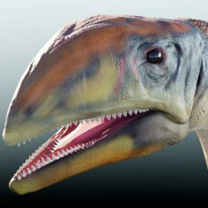 Cientistas descobrem nova espécie de dinossauro