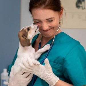 A Importância Fundamental das Visitas Constantes ao Veterinário para a Saúde do Seu Pet