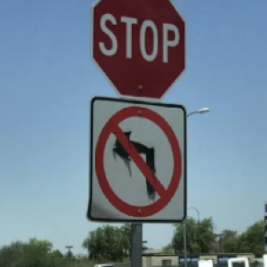 Problemas de um verão calorento