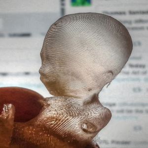 Curiosidades sobre países #28