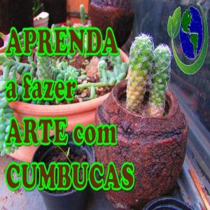 Aprenda a fazer arte com cumbucas