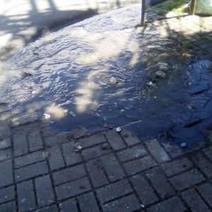 Sujeira na Madalena de novo  