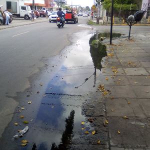 Rede obstruída causa transtorno
