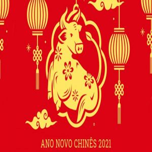 O que é Ano do Boi no Instagram?