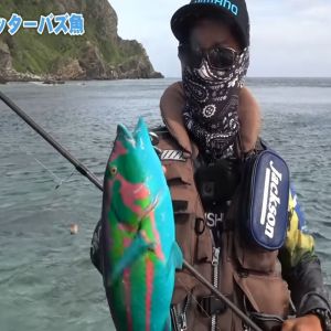 Este peixe de cores vibrantes parece que saiu do filme Avatar