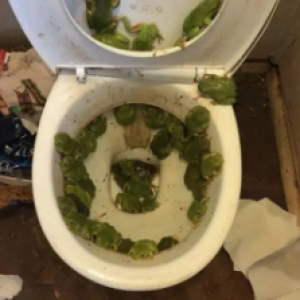 4 fotos impressionantes de desastres naturais