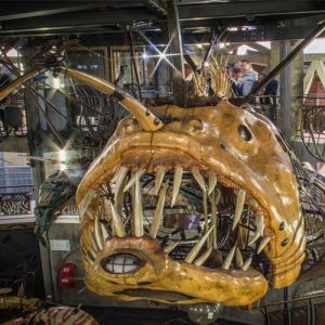 O bestiário das máquinas de Nantes