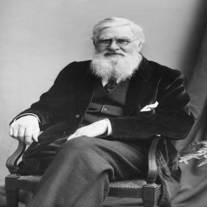 Alfred Russel Wallace: a teoria da evolução