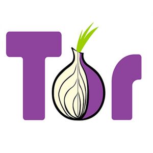 Desvendando o TOR