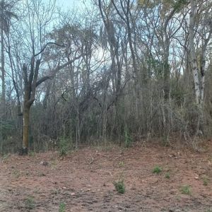 A ética e a conduta