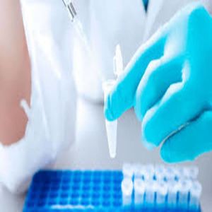 Novo medicamento combate o COVID-19 de maneira eficaz