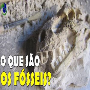 Como os fósseis são formados?
