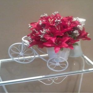 Cumprindo os rituais