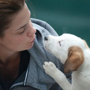10 coisas importantes que todos devemos saber sobre cachorros
