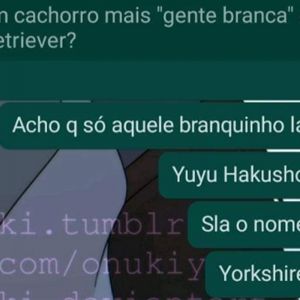  Cachorro Yu Yu Hakusho