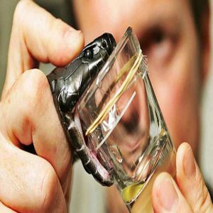 Como é feita a produção de soros e vacinas?