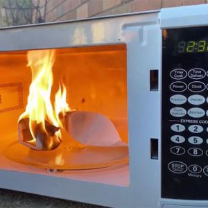 Microondas, o que não pode ser colocado dentro deste forno