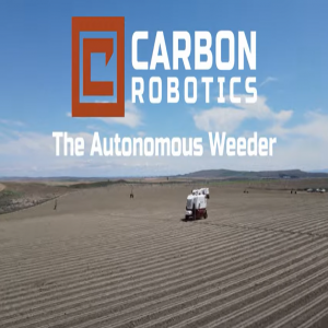 Trator aniquila ervas daninhas de plantações