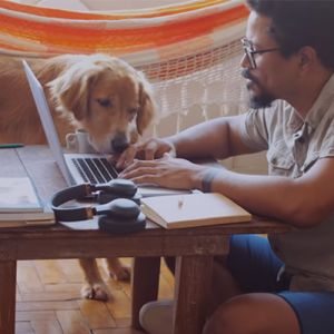 As alegrias do home-office ao lado dos pets