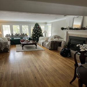 32 fotos de gatos muito bem escondidos