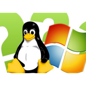 Qual a diferença entre uma hospedagem Linux e Windows?