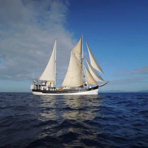 Navio de carga à vela recolhe plástico no Pacífico