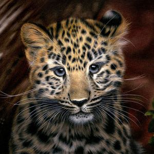 15 desenhos realistas que vão te surpreender