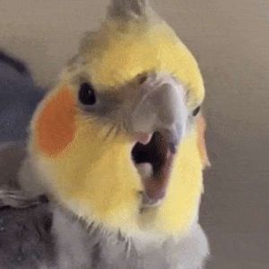 Tentando fazer cosplay