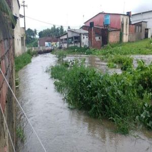 Rios perdendo espaço para crescimento das cidades