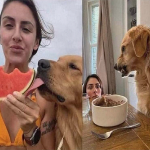 Precisamos falar sobre a hipocrisia canina