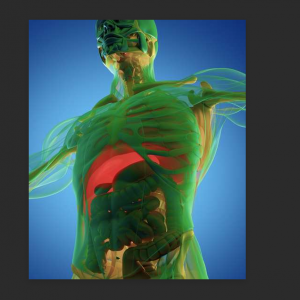 Jejum por um longo tempo é bom ou prejudicial?