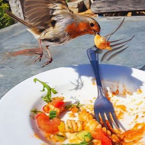 20 pessoas que tinham suas câmeras no lugar certo na hora certa