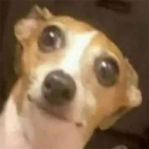 Por quê tem que ser eu?